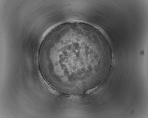 X0000113231191200909241515