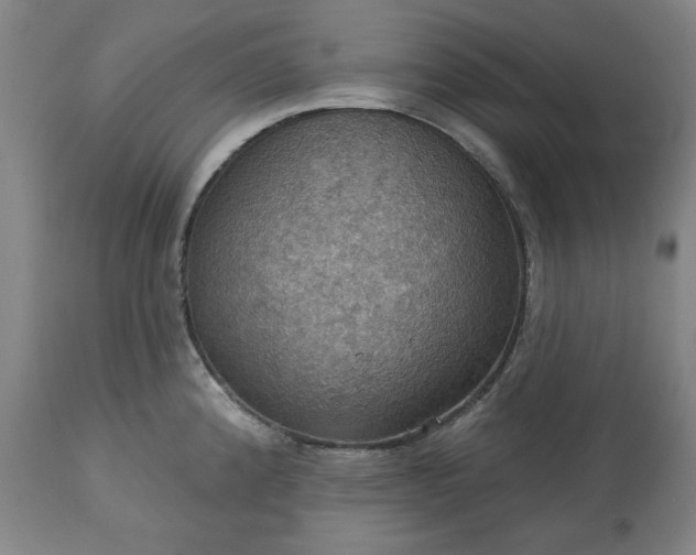 X0000113231192200909241515