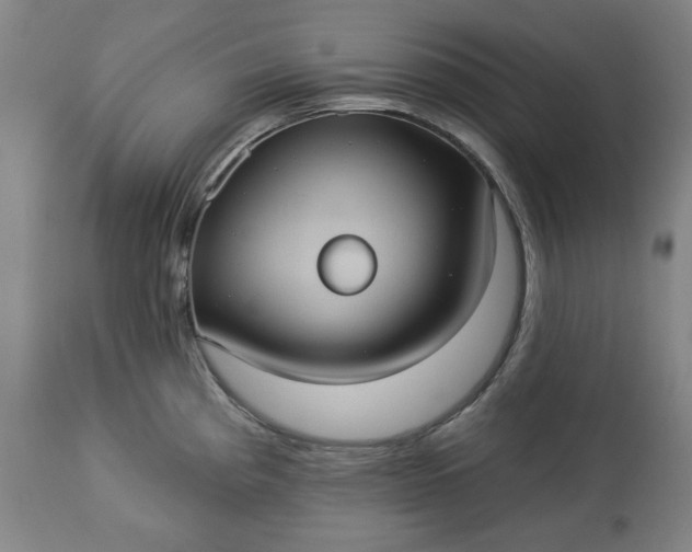 X0000113231193200909241515