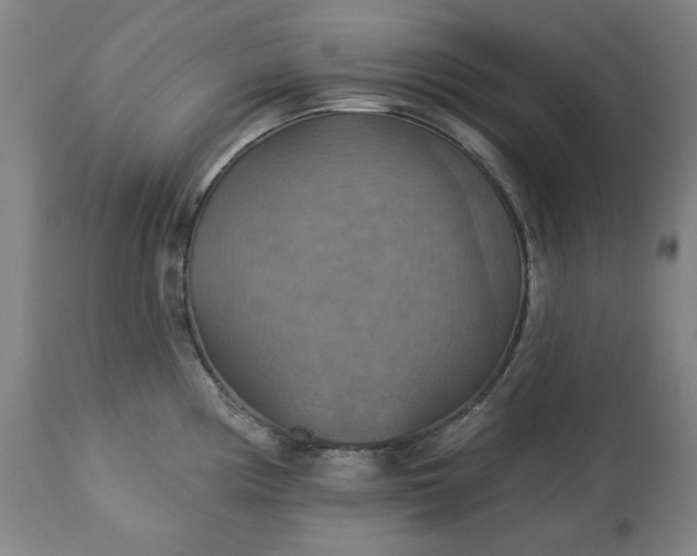 X0000113231194200909241515