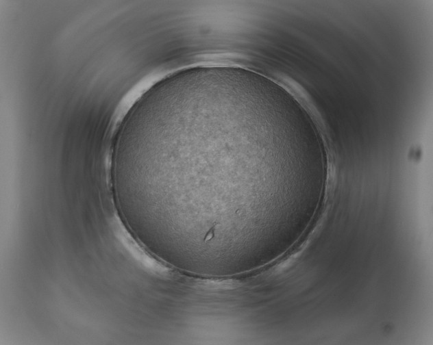 X0000113231196200909241515