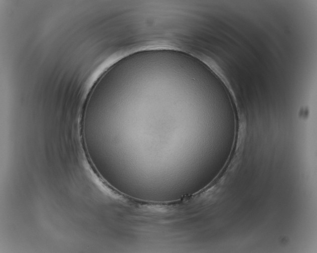 X0000113231197200909241515