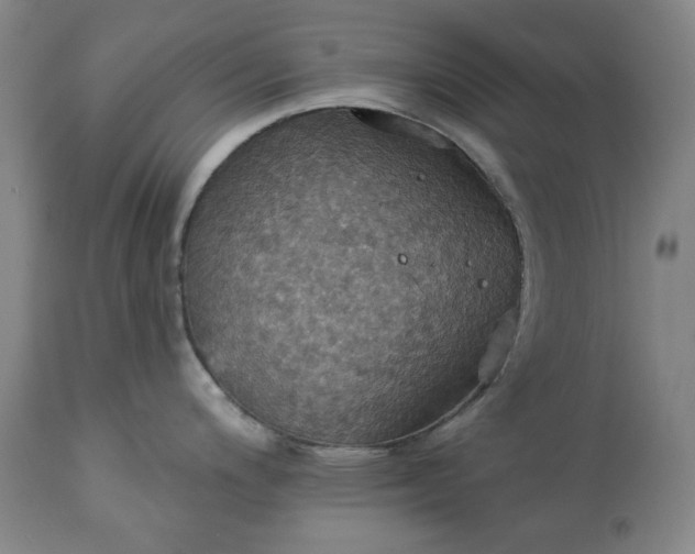 X0000113231200200909241515