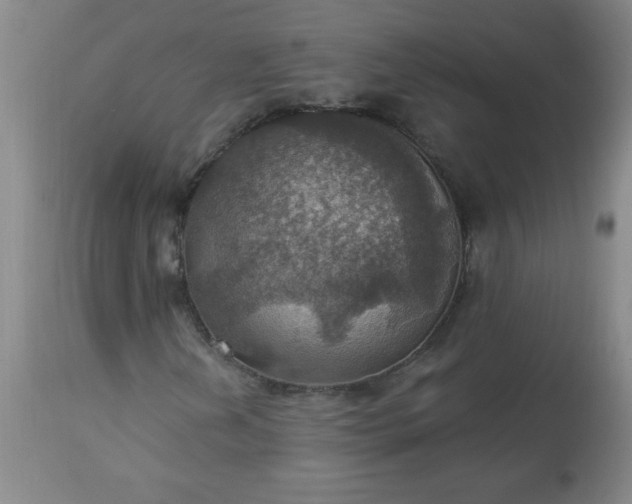 X0000113231202200909241514