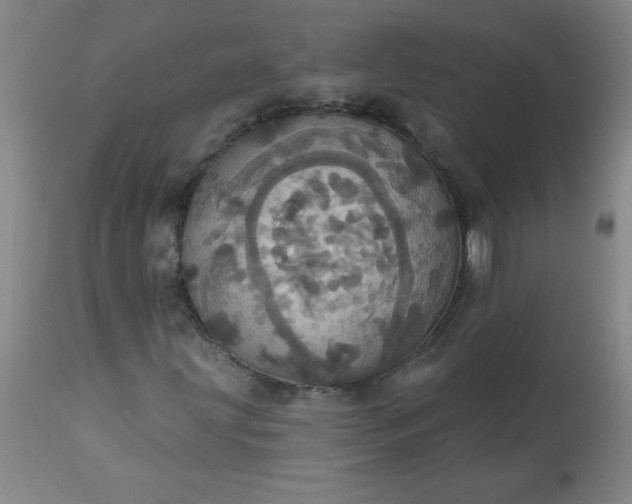 X0000113231203200909241514