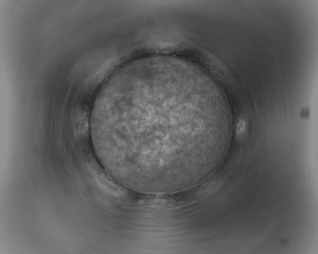 X0000113231204200909241514