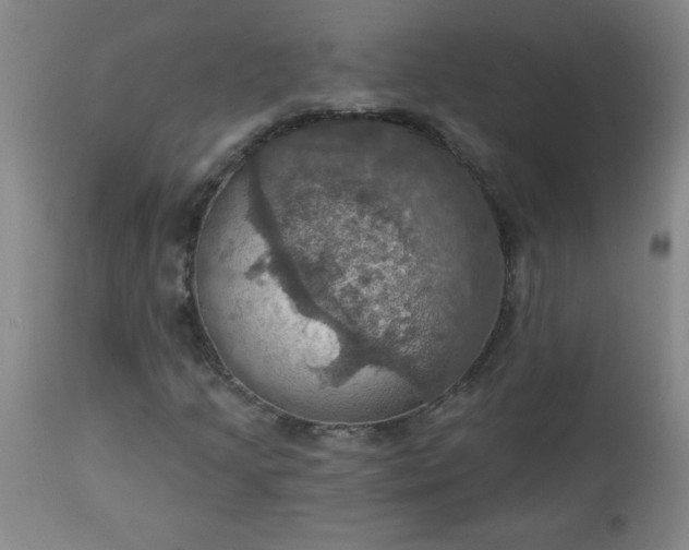 X0000113231205200909241514