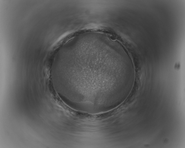 X0000113231206200909241514