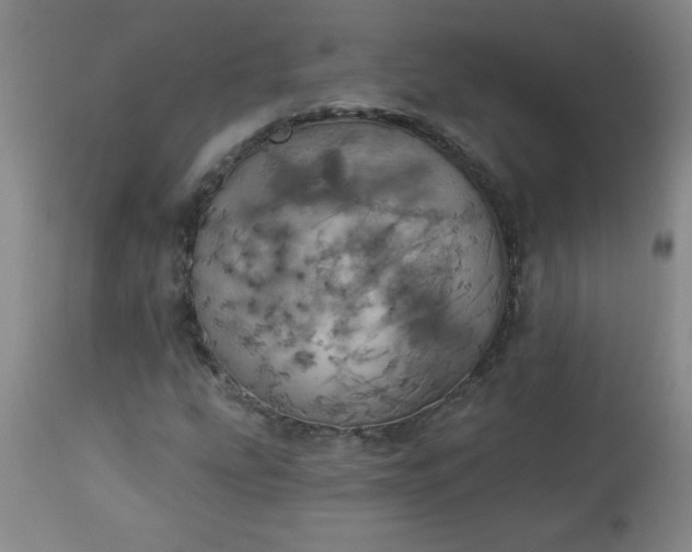 X0000113231207200909241515