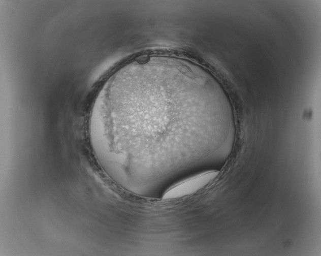 X0000113231208200909241515