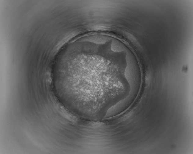 X0000113231209200909241515