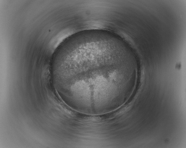 X0000113231210200909241515