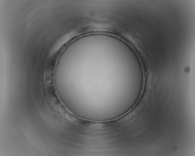 X0000113231211200909241515