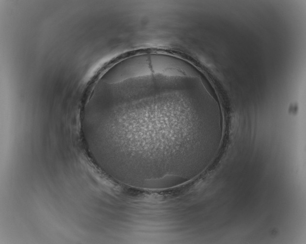 X0000113231214200909241515