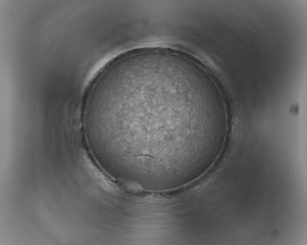 X0000113231216200909241515