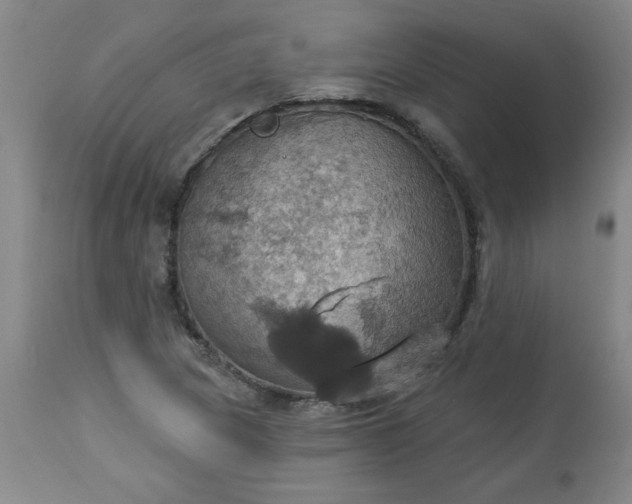 X0000113231217200909241515