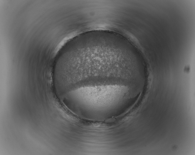 X0000113231218200909241515