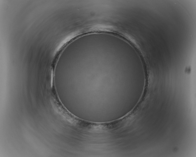 X0000113231219200909241515