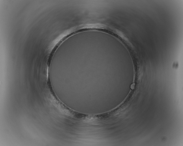 X0000113231221200909241515