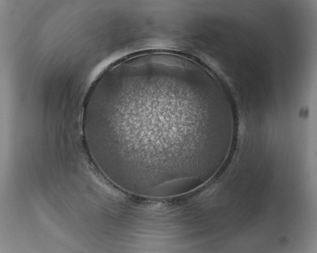 X0000113231222200909241515