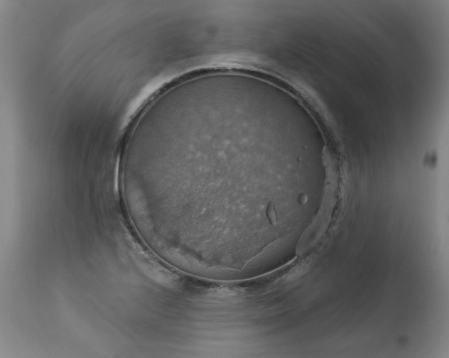 X0000113231224200909241515