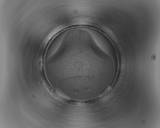 X0000113231226200909241515