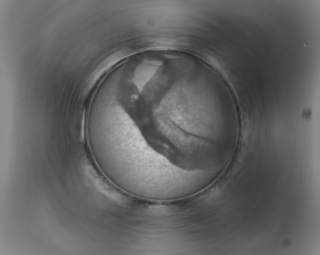 X0000113231227200909241515