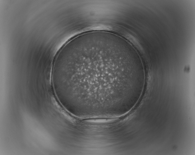 X0000113231228200909241515