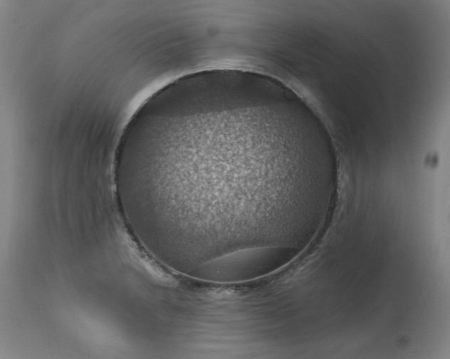 X0000113231230200909241515