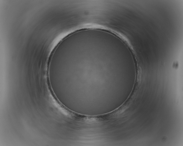 X0000113231231200909241515