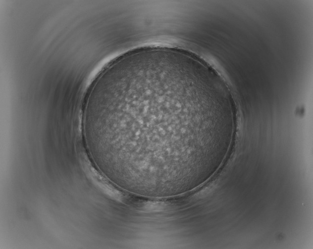 X0000113231232200909241515