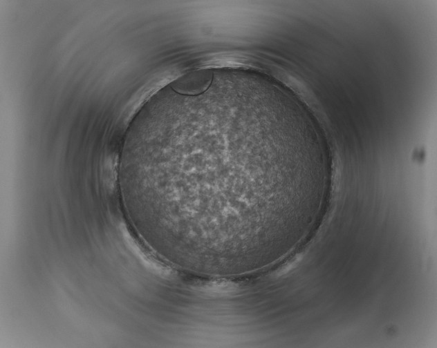 X0000113231233200909241515