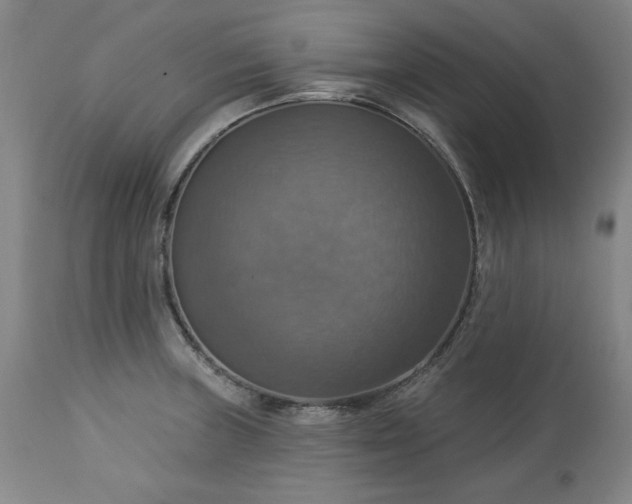 X0000113231235200909241515