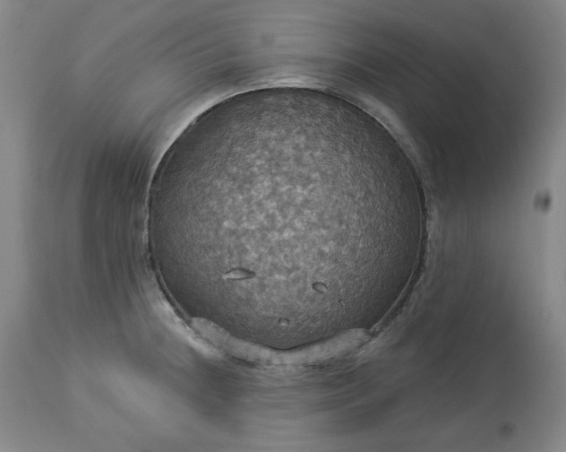 X0000113231236200909241515