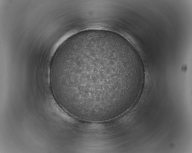 X0000113231238200909241515