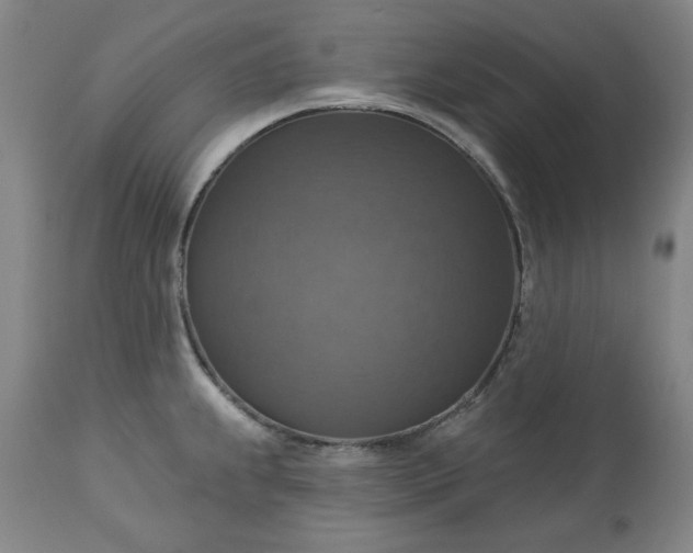 X0000113231239200909241515