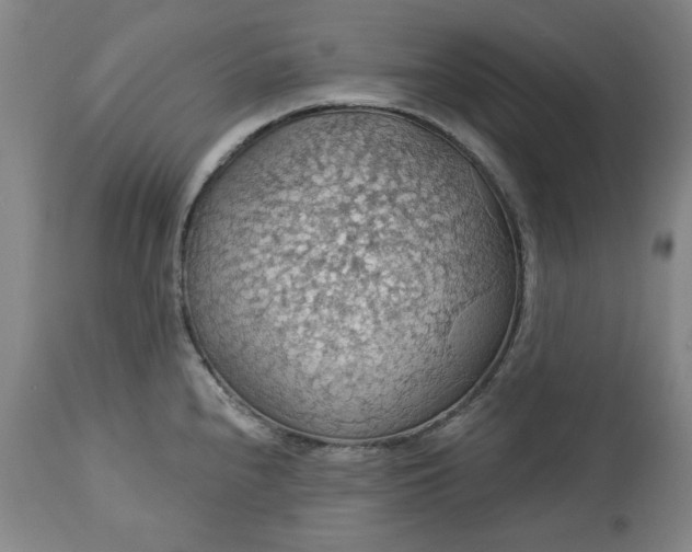 X0000113231240200909241515