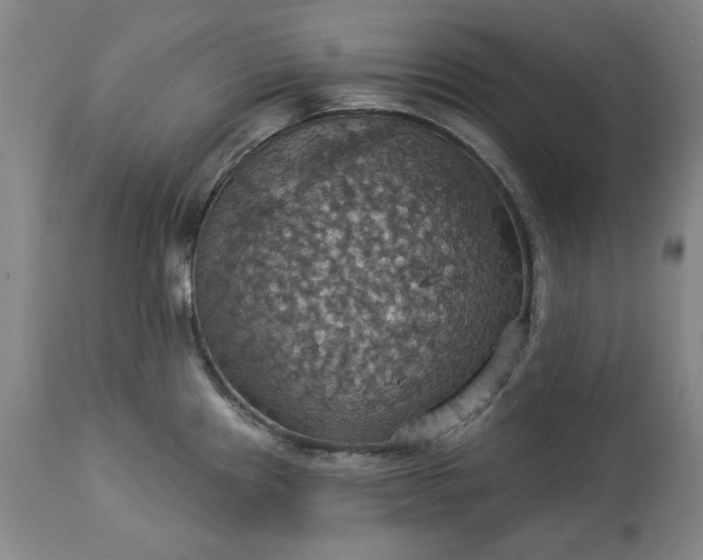 X0000113231241200909241515