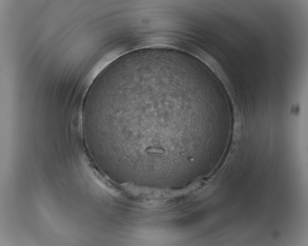 X0000113231242200909241515