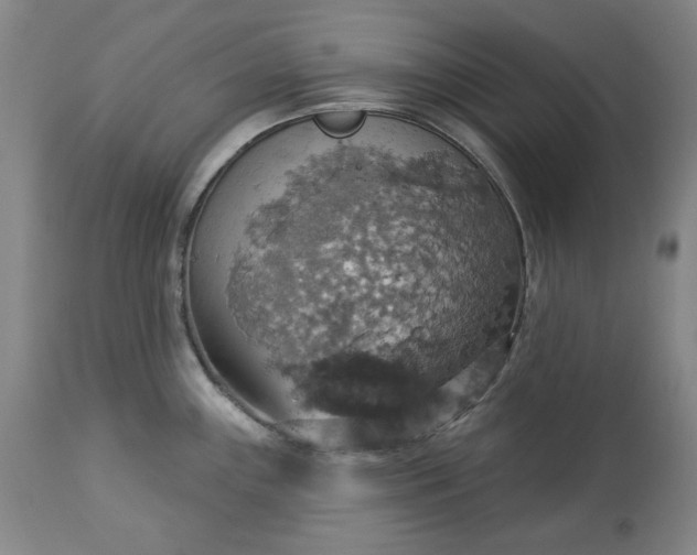 X0000113231243200909241515