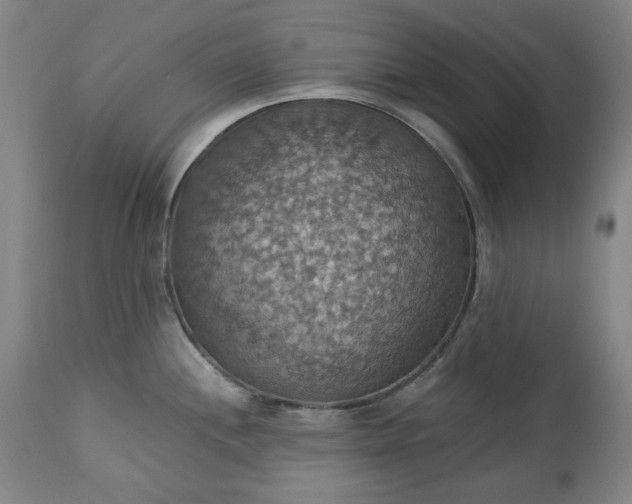 X0000113231244200909241515