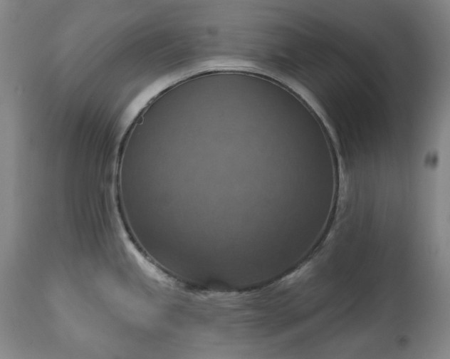 X0000113231245200909241515