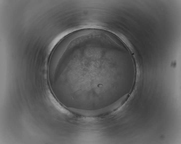 X0000113231246200909241515