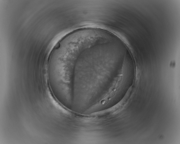 X0000113231247200909241515