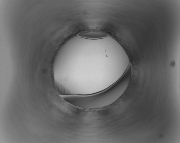 X0000113231249200909241514