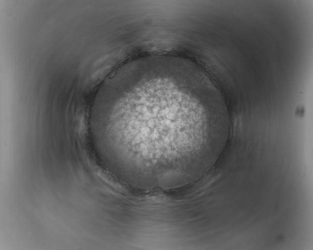 X0000113231250200909241514