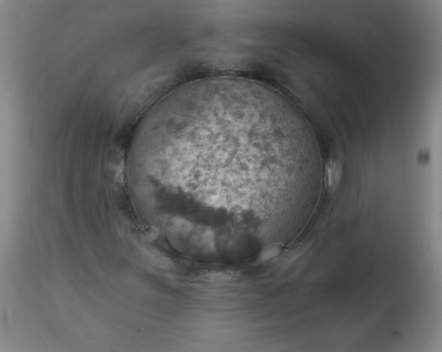 X0000113231251200909241514