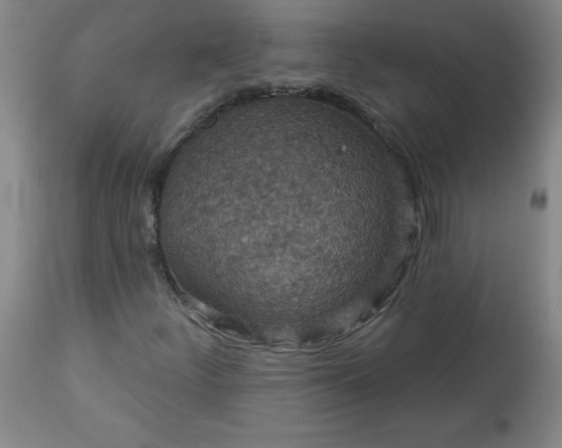 X0000113231252200909241514