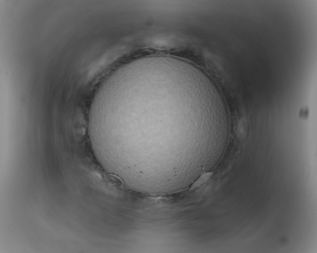 X0000113231253200909241514