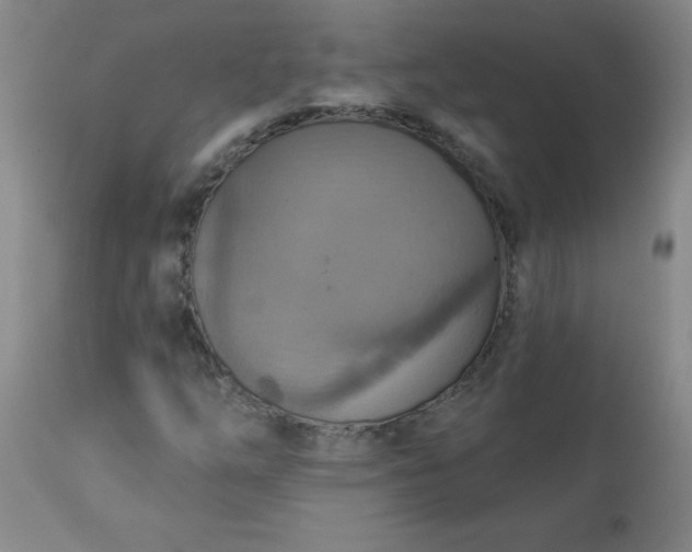 X0000113231254200909241514